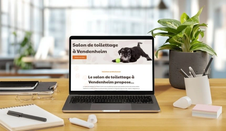 Référencement SEO local | Vendenheim | Strasbourg | Bas Rhin