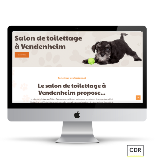 SEO | CDR freelance : salon de toilettage à vendenheim N°1 en Alsace